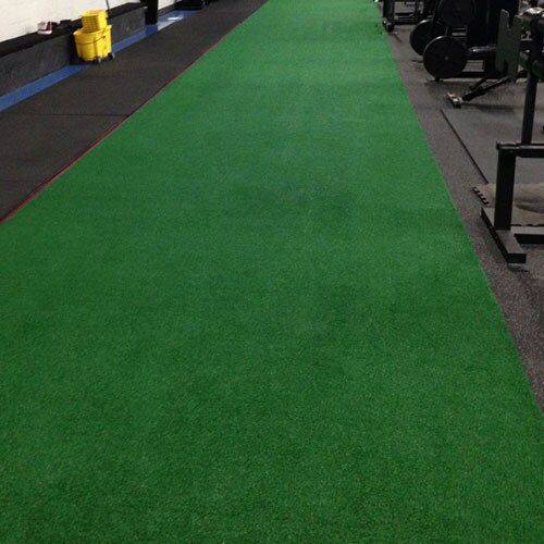 Sled Strip Turf 5' x 30'
